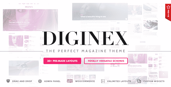 Tema Diginex - Template WordPress