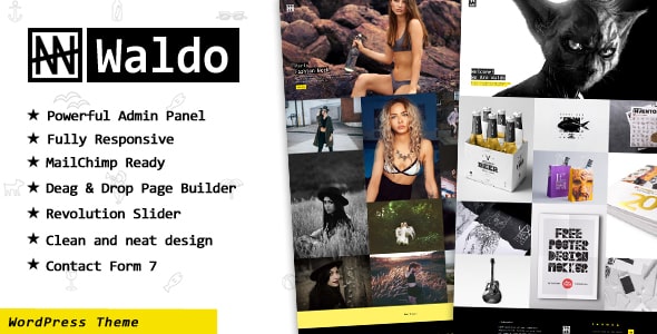 Tema Waldo - Template WordPress