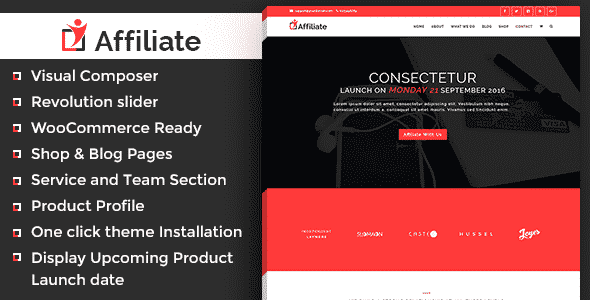 Tema Affiliate - Template WordPress