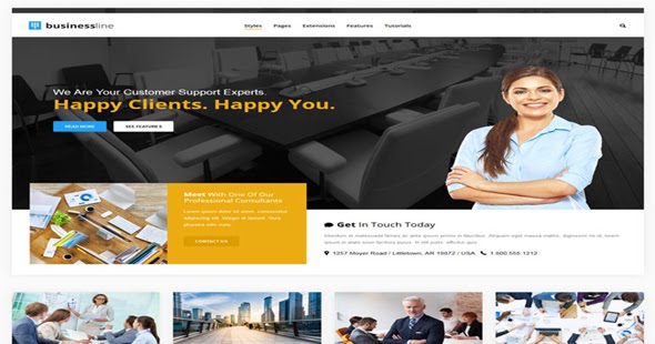 Tema Business Line - Template WordPress