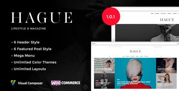 Tema Hague - Template WordPress