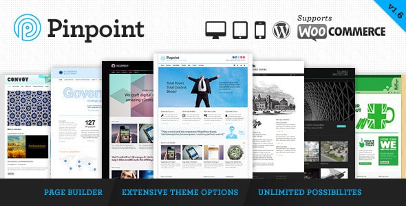 Tema Pinpoint - Template WordPress