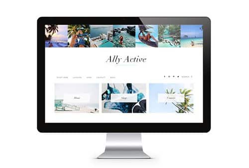 Tema Ally Active - Template WordPress