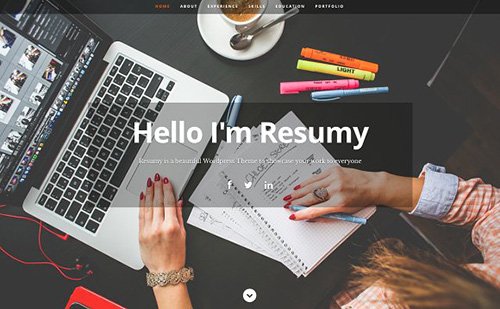 Tema Resumy - Template WordPress