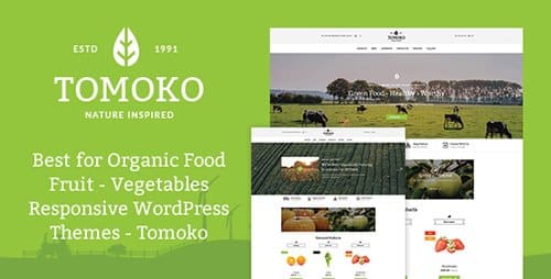 Tema Tomoko - Template WordPress