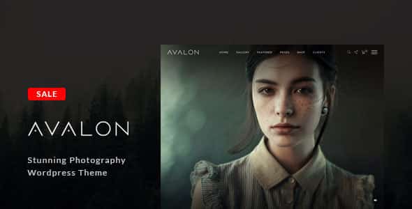 Tema Avalon - Template WordPress