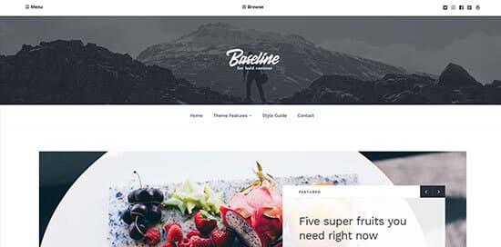 Tema Baseline - Template WordPress