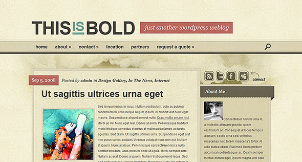 Tema Bold ElegantThemes - Template WordPress