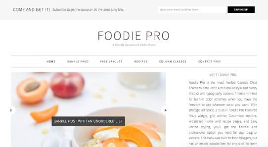Tema Foodie Pro - Template WordPress