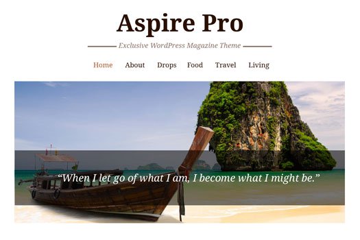 Tema Aspire Pro CyberChimps - Template WordPress
