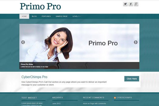 Tema Primo Pro - Template WordPress