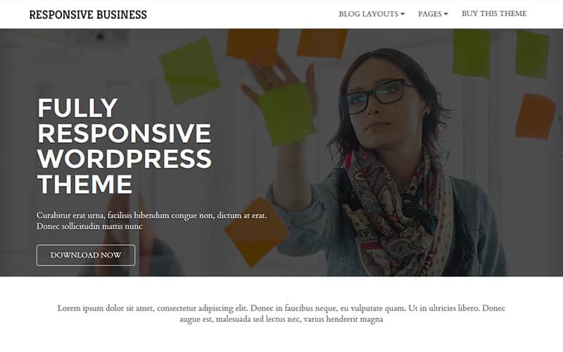 Tema Responsive Business Cyberchimps - Template WordPress