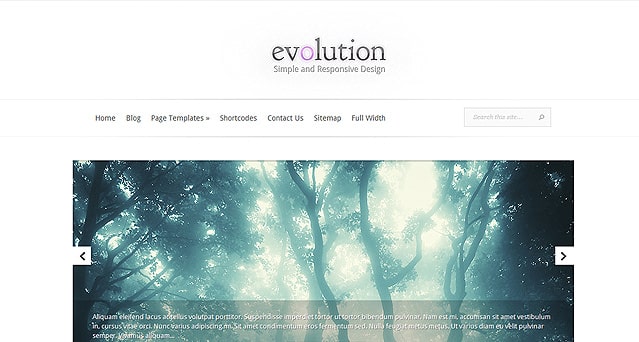 Tema Evolution ElegantThemes - Template WordPress