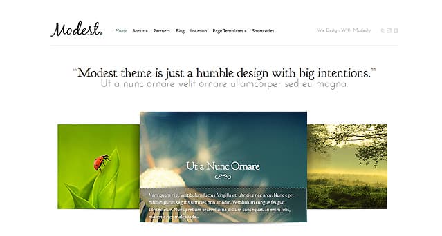Tema Modest ElegantThemes - Template WordPress