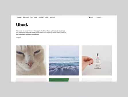 Tema Ubud - Template WordPress