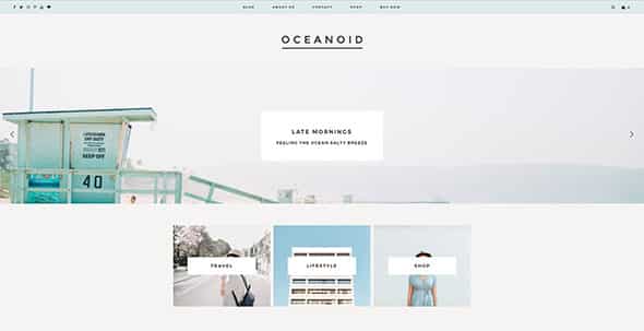 Tema Oceanoid - Template WordPress