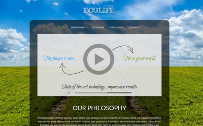 Tema Ecolife VivaThemes - Template WordPress