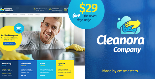 Tema Cleanora - Template WordPress