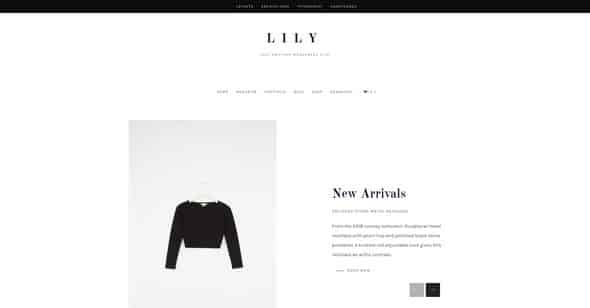 Tema Lily - Template WordPress