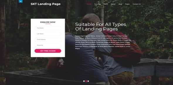 Tema Skt Landing Page - Template WordPress