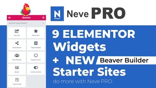 Tema Neve Pro - Template WordPress