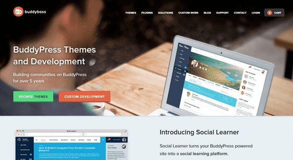 Tema Buddyboss - Template WordPress