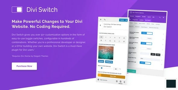 Plugin Divi Switch - WordPress