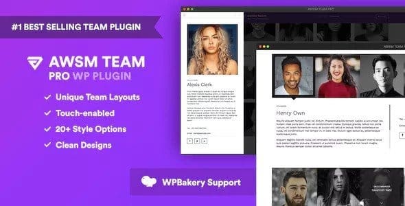 Plugin The Team Pro - WordPress