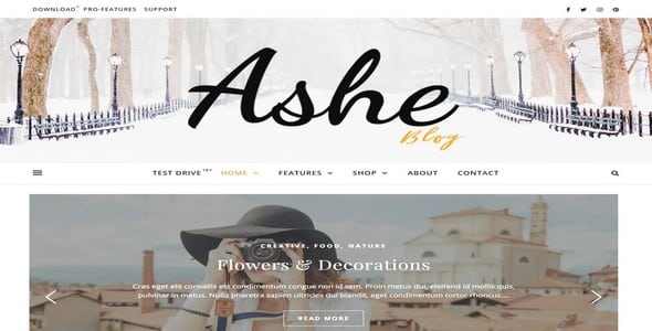 Tema Ashe Blog Pro - Template WordPress