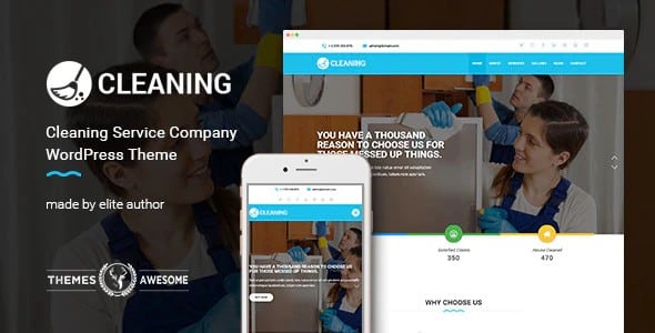 Tema Cleaning themesawesome - Template WordPress