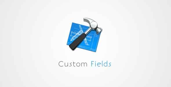Plugin Download Manager Advanced Custom Fields - WordPress