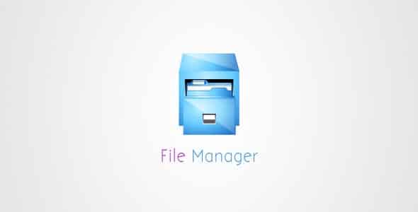 Plugin Download Manager File Manager - WordPress