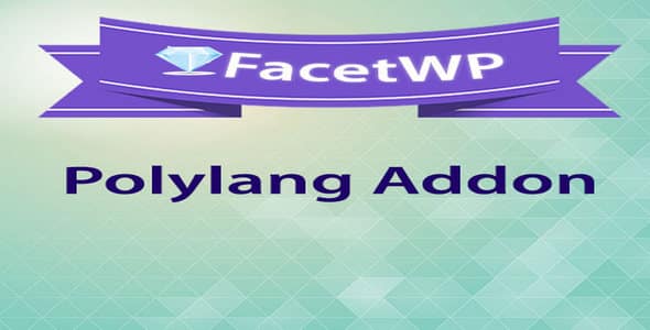 Plugin FacetWp Polylang - WordPress