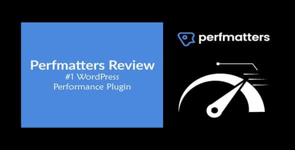 Plugin Perfmatters - WordPress