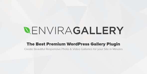 Plugin Envira Gallery Pro - WordPress