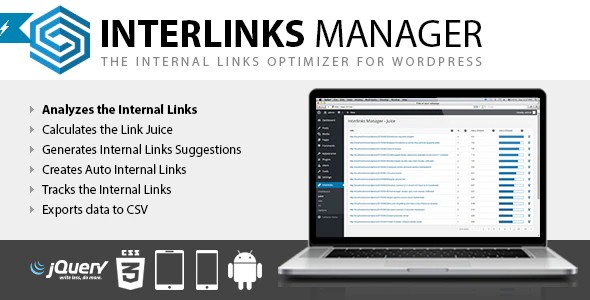 Plugin Interlinks Manager - WordPress