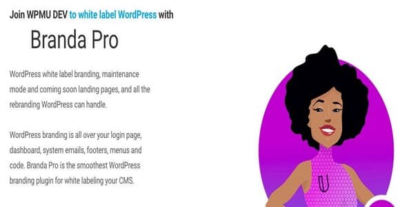 Plugin Wpmudev Branda Pro - WordPress