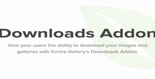 Plugin Envira Downloads Addon - WordPress