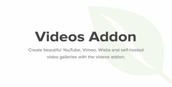 Plugin Envira Videos Addon - WordPress