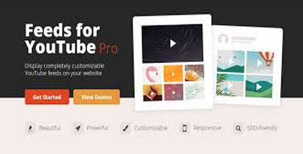 Plugin Feeds for Youtube Pro - WordPress