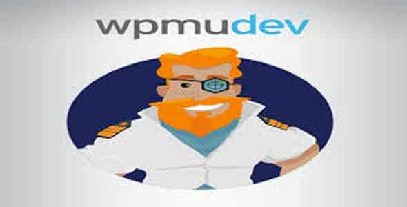 Plugin Wpmudev Shipper Pro - WordPress