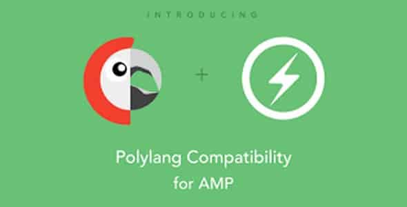 Plugin Amp Polylang Integration - WordPress
