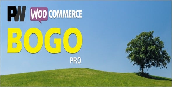 Plugin Pw WooCommerce Bogo Pro - WordPress