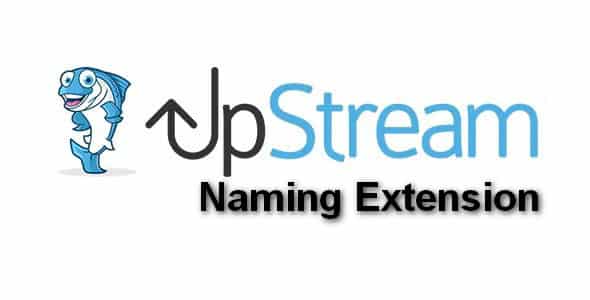 Plugin Upstream Naming Extension - WordPress