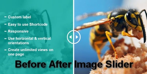 Plugin Before After Image Slider - WordPress