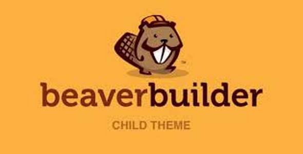 Plugin Beaver Builder Child Theme - WordPress