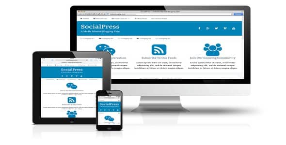 Plugin Dynamik Skin SocialPress - WordPress