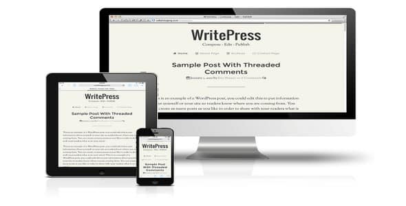 Plugin Dynamik Skin WritePress - WordPress