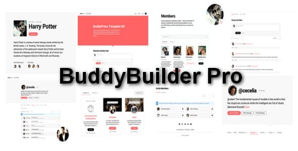 Plugin BuddyBuilder Pro - WordPress