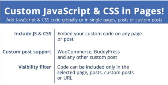 Plugin Custom JavaScript and CSS in Pages - WordPress